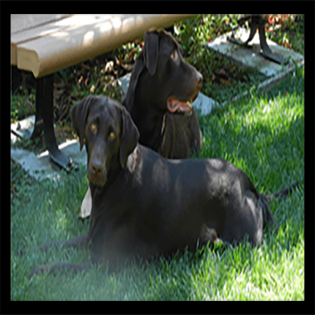 Kepler's Corner Kepler Galileo