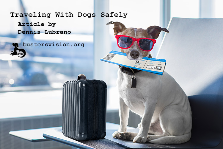 traveling with dogs safely