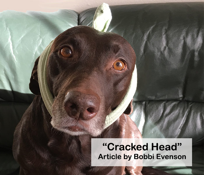 cracked head